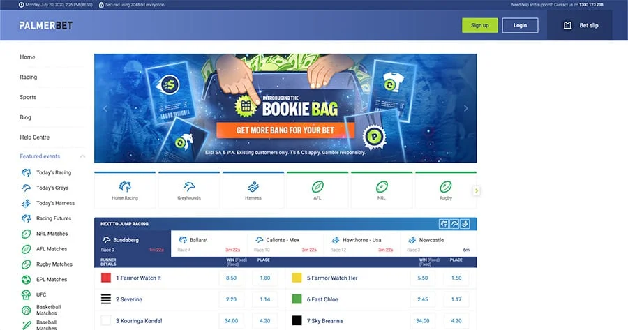 Palmerbet screenshot
